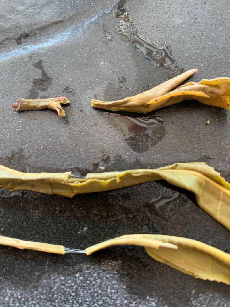 源头批发老班章散茶普洱茶生茶2021-当年都有