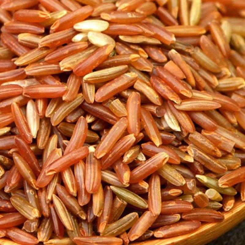 熟红米红米低温烘焙五谷杂粮磨坊粉豆浆粉原料批发