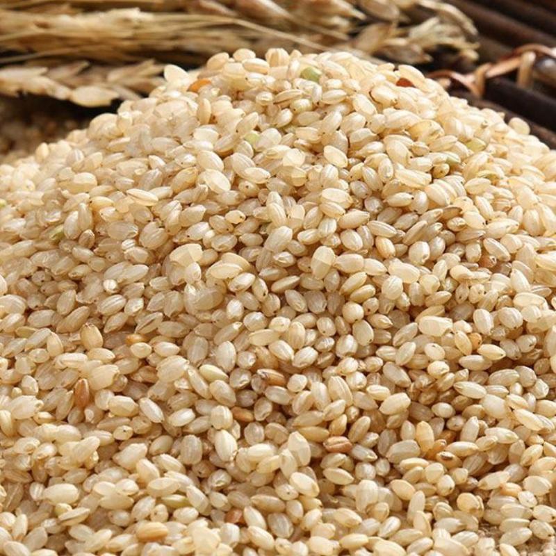 熟糙米糙米低温烘焙五谷杂粮磨坊粉豆浆粉原料批发