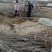 车厘子鲁樱三号俄罗斯八号树苗特大嫁接南方北方种植庭院阳台