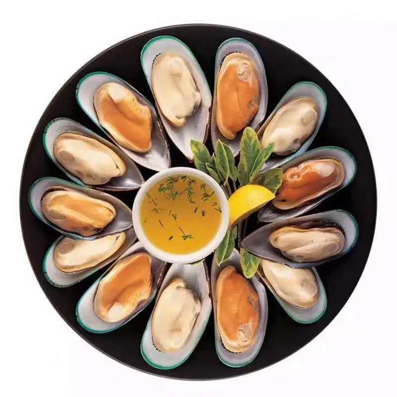 深海海捕冷冻半壳青口贝新鲜海产翡翠贻贝蓝口贝