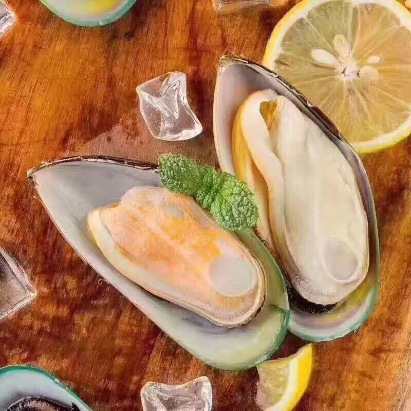 深海海捕冷冻半壳青口贝新鲜海产翡翠贻贝蓝口贝