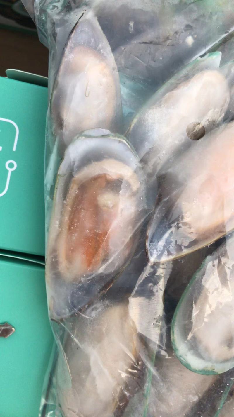 深海海捕冷冻半壳青口贝新鲜海产翡翠贻贝蓝口贝