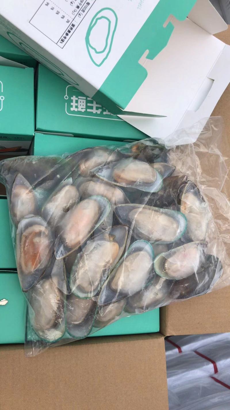 深海海捕冷冻半壳青口贝新鲜海产翡翠贻贝蓝口贝