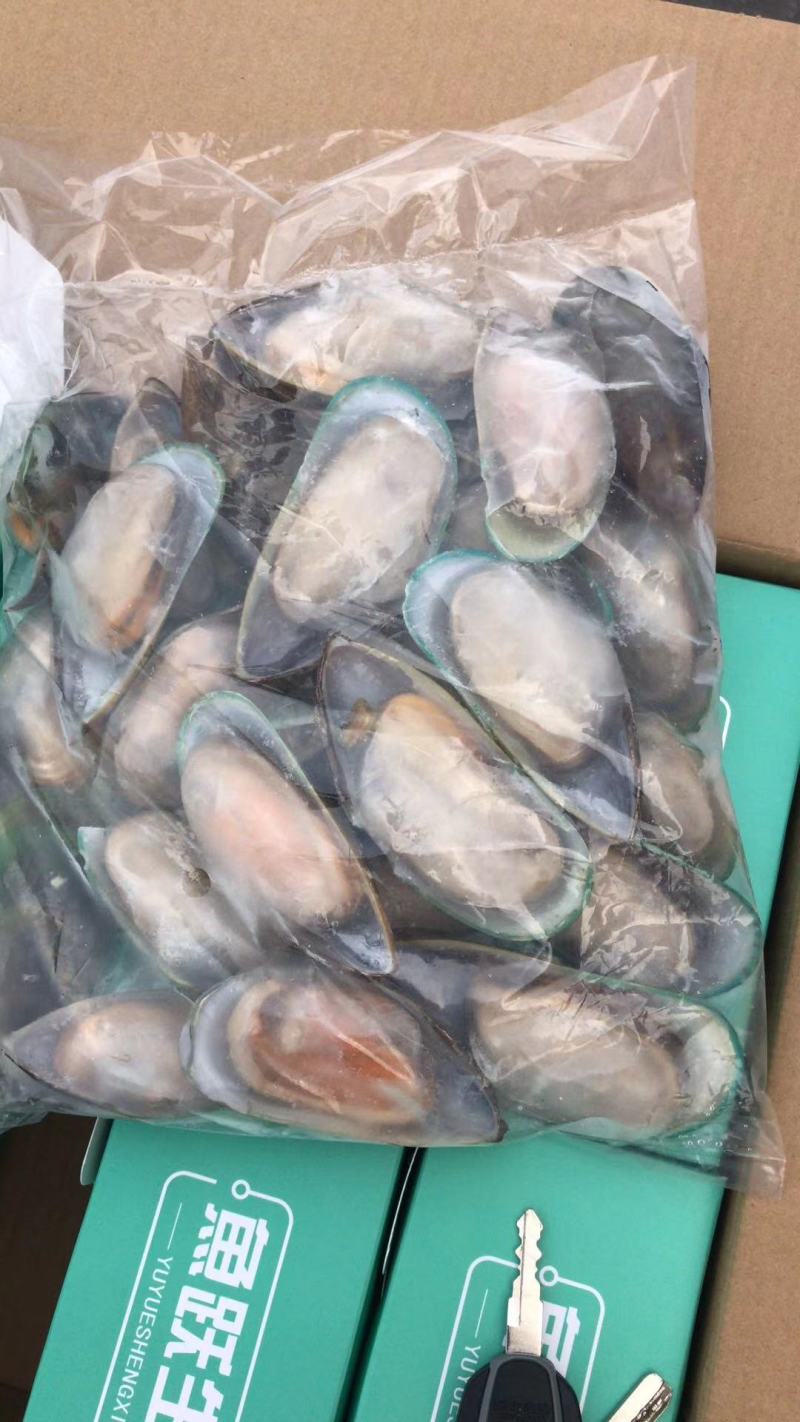 深海海捕冷冻半壳青口贝新鲜海产翡翠贻贝蓝口贝