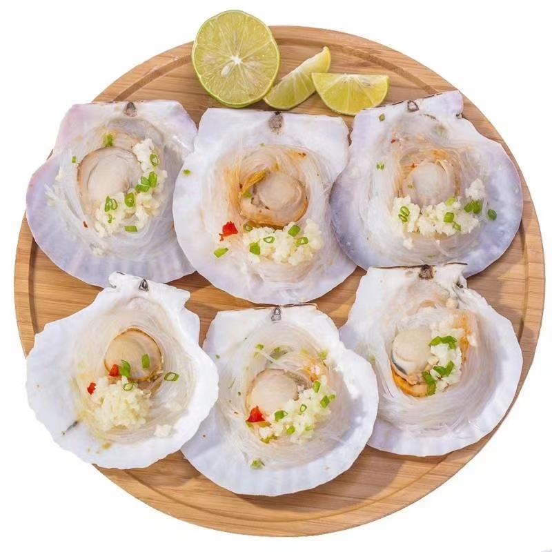 蒜蓉粉丝扇贝过节送礼品海鲜烧网红烤蒸扇贝夏夷贝海鲜礼包
