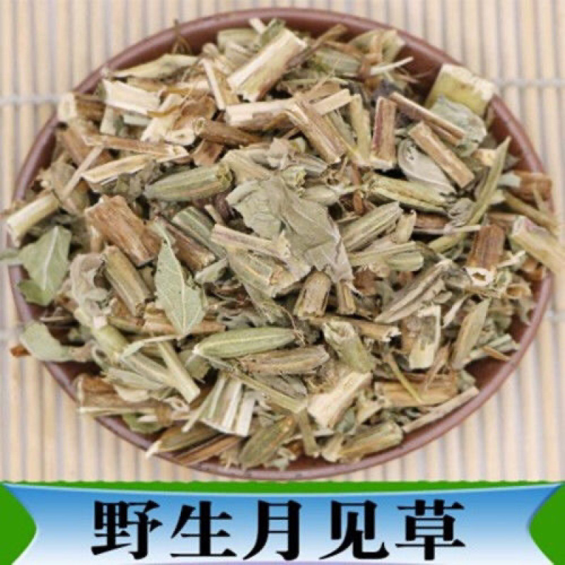 【月见草】安徽月见草一手货源产地直销品质保证