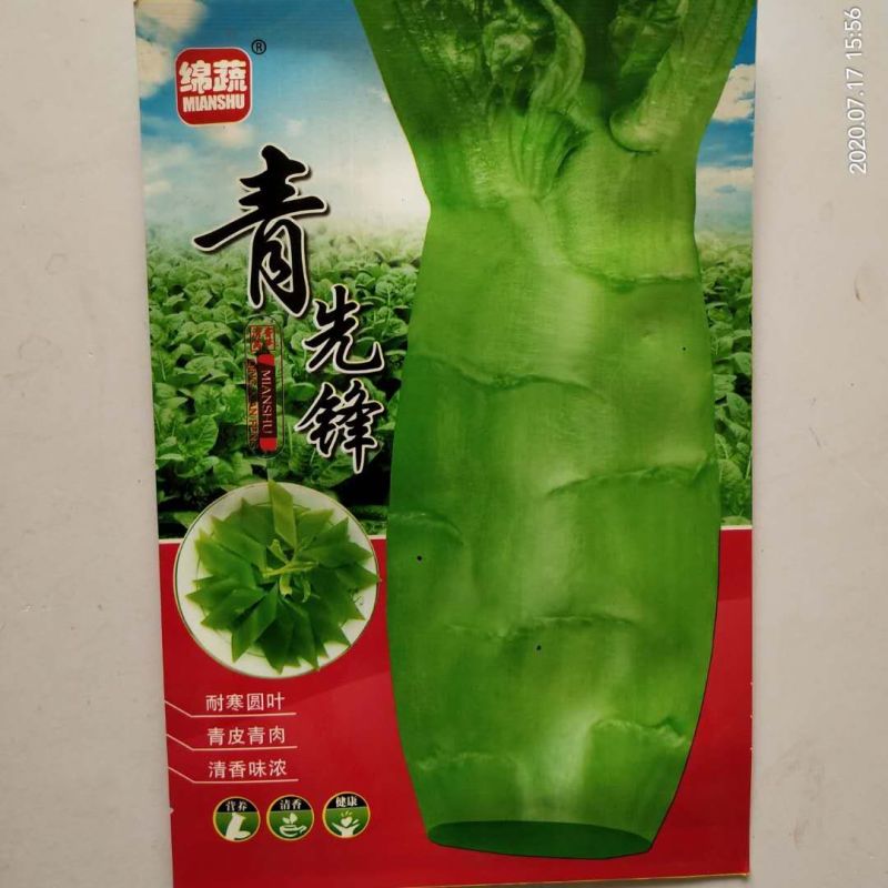 莴笋种子红皮绵蔬红坝紅皮窝笋，脆香青皮莴笋种子