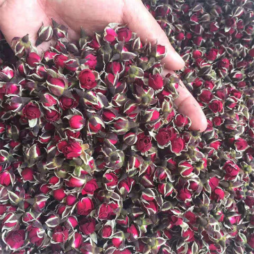 金边玫瑰金边玫瑰花茶实物拍摄玫瑰花茶保庆