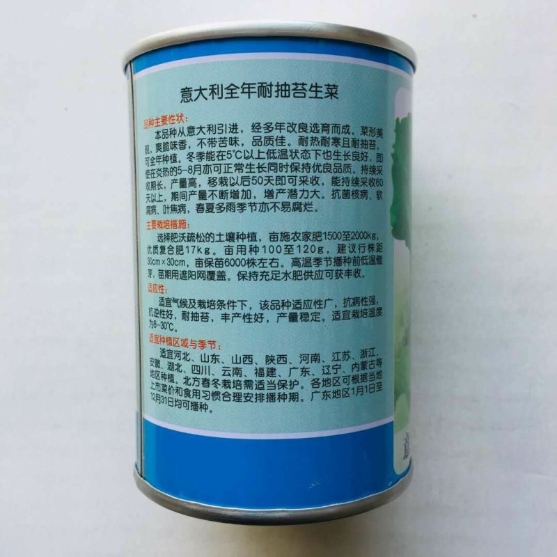 生菜种子耐熱耐抽苔意大利生菜种子叶片油绿