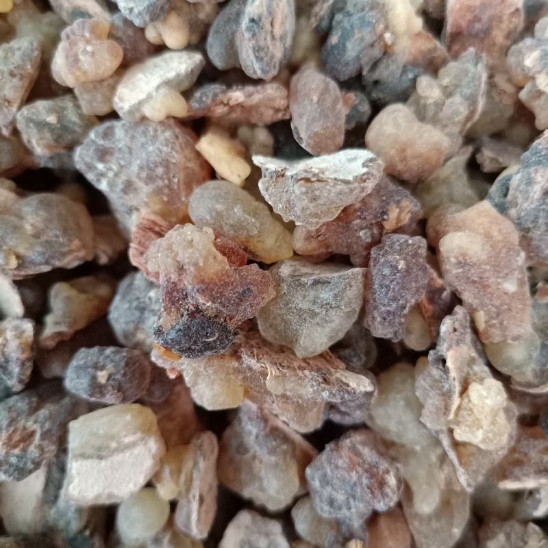 玉林药材批发乳香欢迎来选购有大量货源