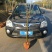 北美海棠花树苗南方北方室外庭院种植地栽耐寒花卉植物乔木