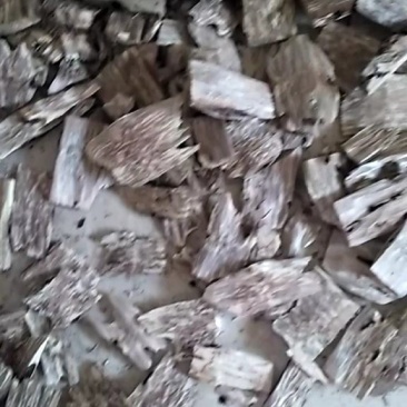 优质沉香火眼造香革热售中