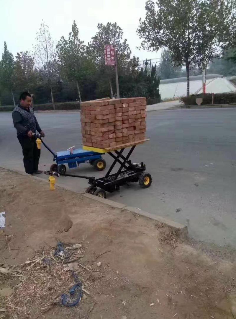 拉货车平板运输车电动超市工地运输车厂家定制手推车