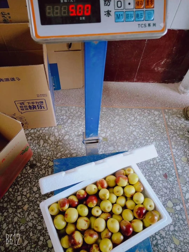 冬枣大荔鲜枣冬枣基地直发