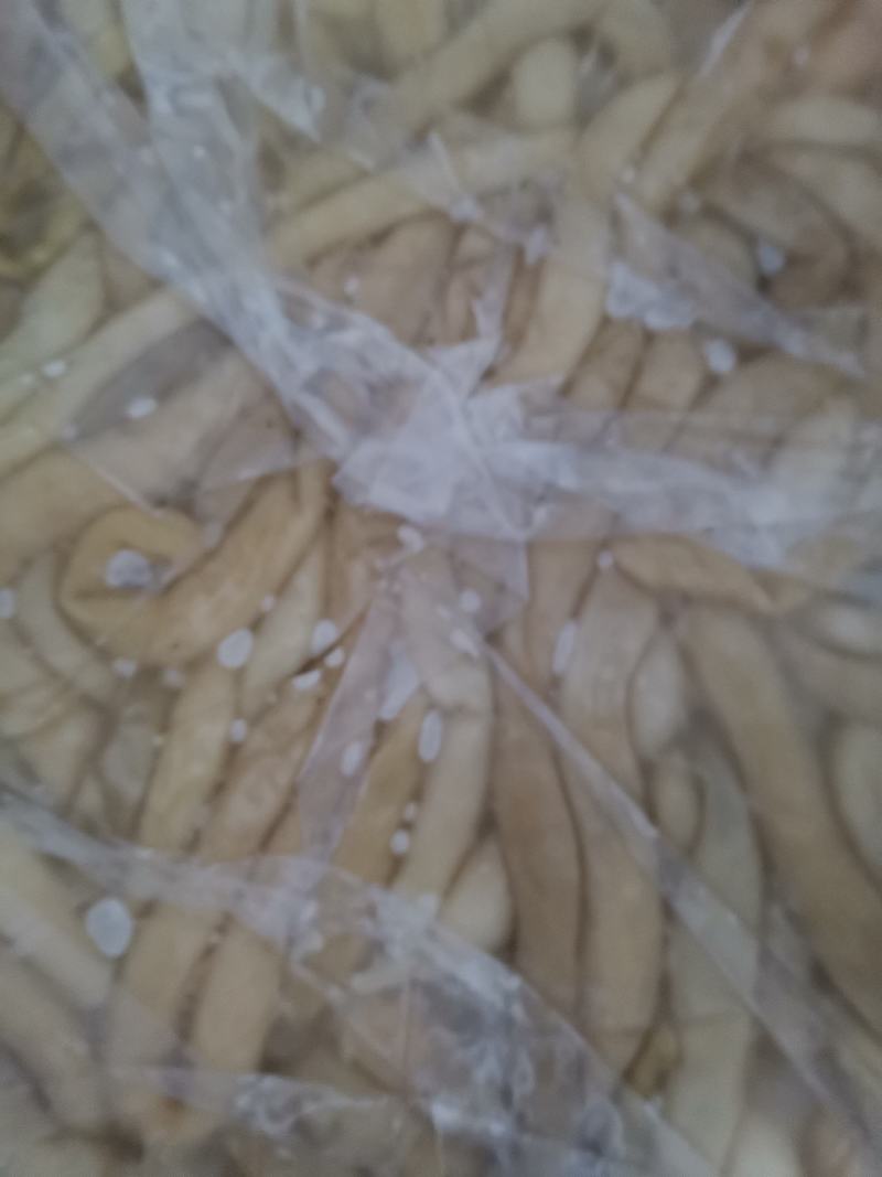 羔羊熟肚，照片实物拍摄，质量保证物流发货