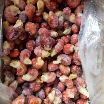 厂家直销单冻特级龙虾尾