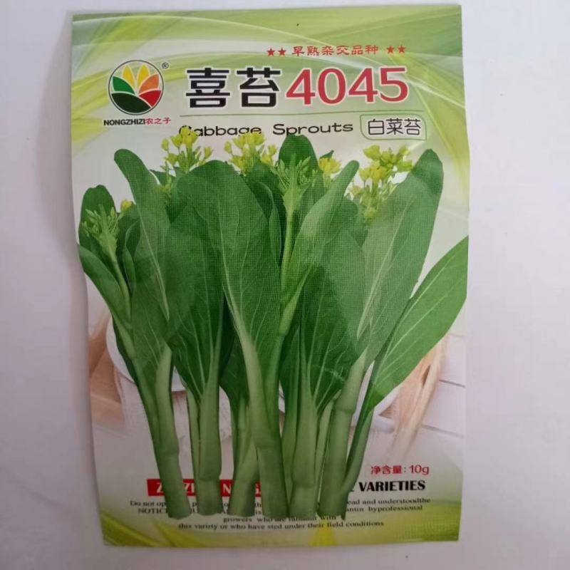 菜心种子，奥洲油青脆绿菜苔种子杂交品种种子