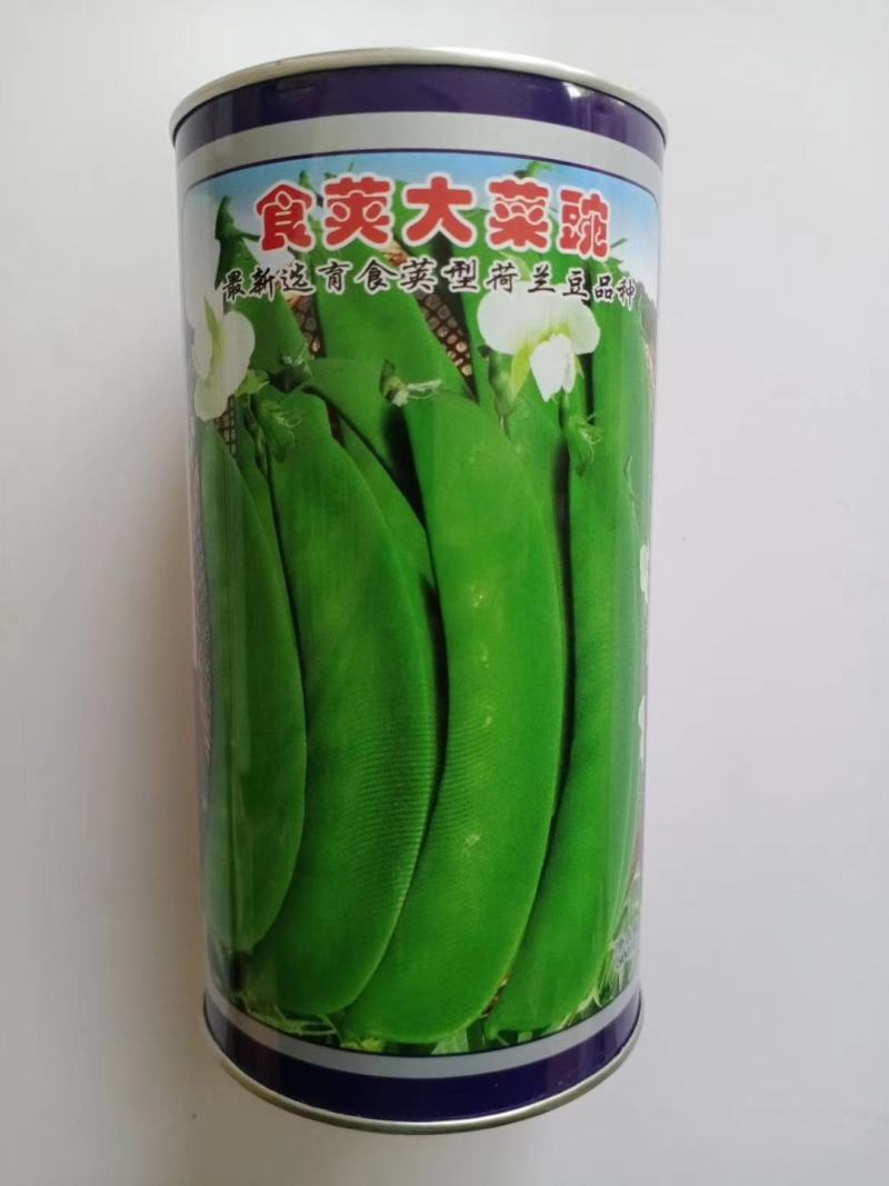 豌豆种子台湾长寿仁中碗六号高产大田专用品种