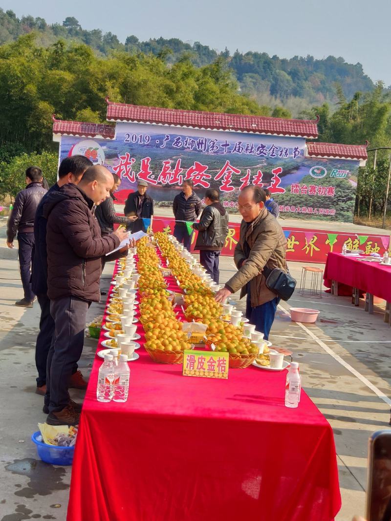 一件代发脆密金柑礼盒装承接市场档口水果店社区团购全国发货