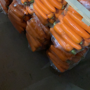 通许胡萝卜