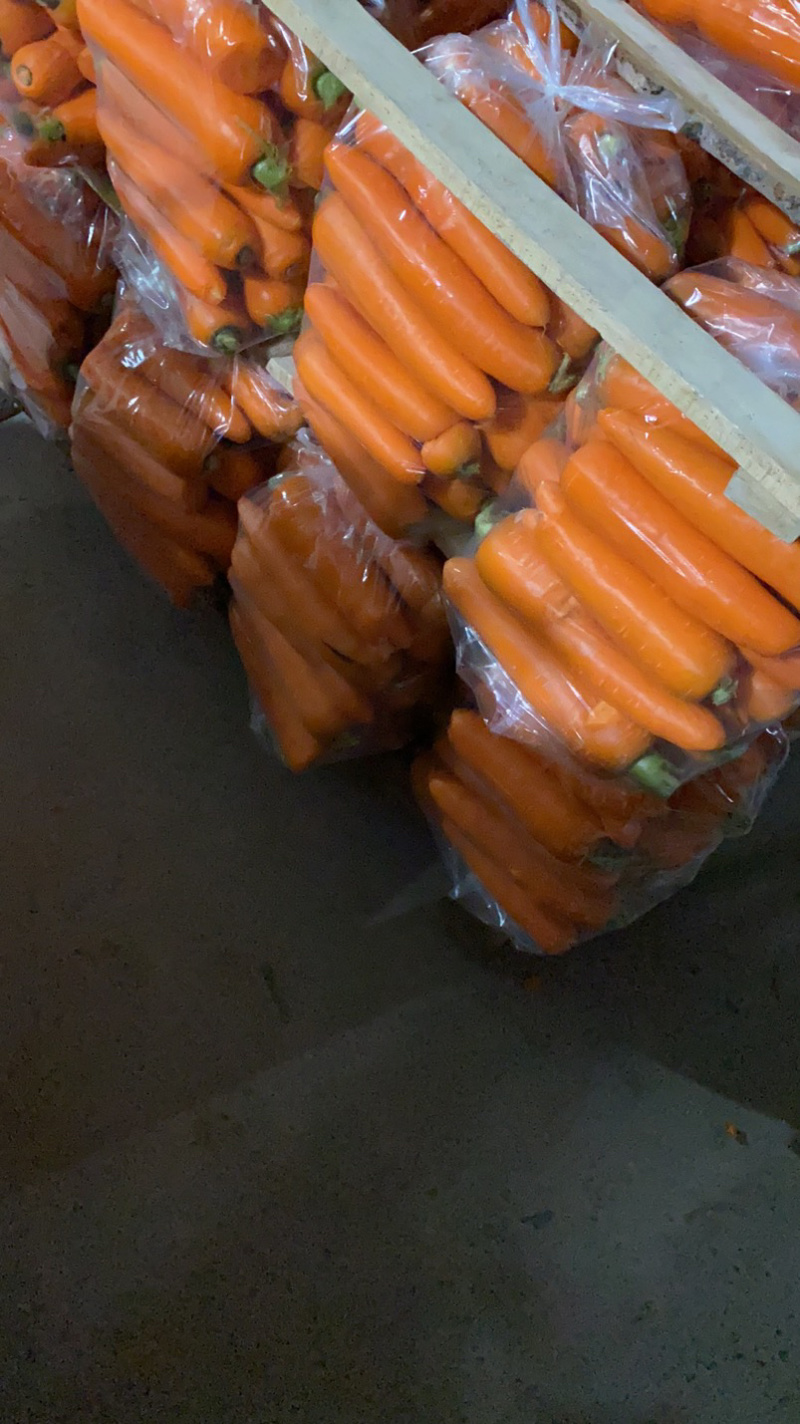 通许胡萝卜