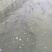 广西宾阳淡水鱼水产业