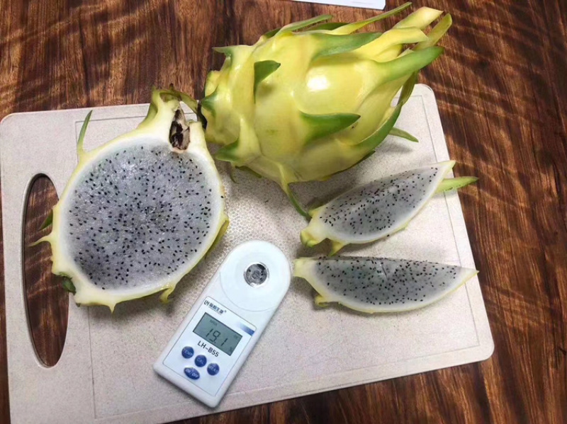火龙果，大量货源，产地直供，品种多多，欢迎订购