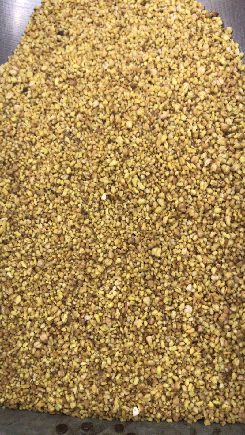 苦荞苦荞茶大爆花苦荞茶批发零售