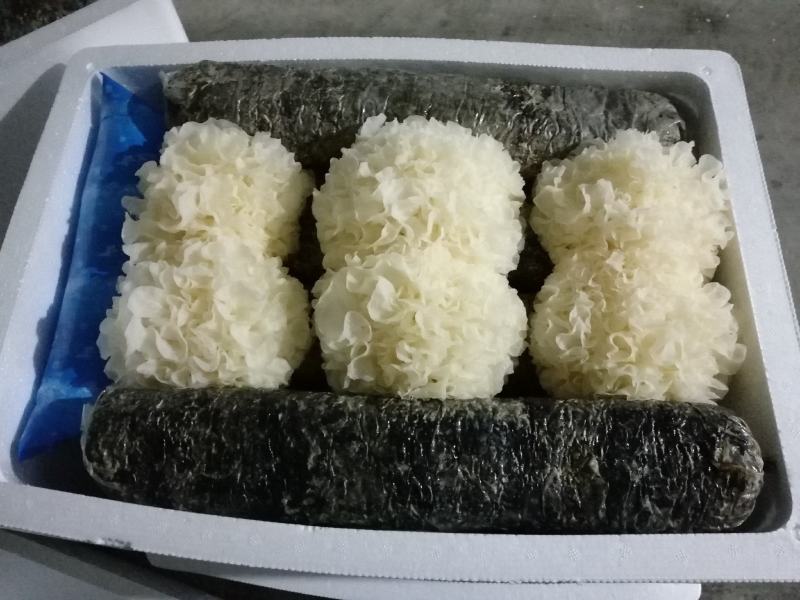 原产地厂家鲜银耳新鲜银耳银耳支持商超社区团购