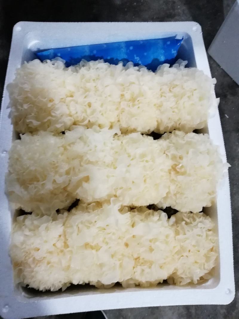 原产地厂家鲜银耳新鲜银耳银耳支持商超社区团购