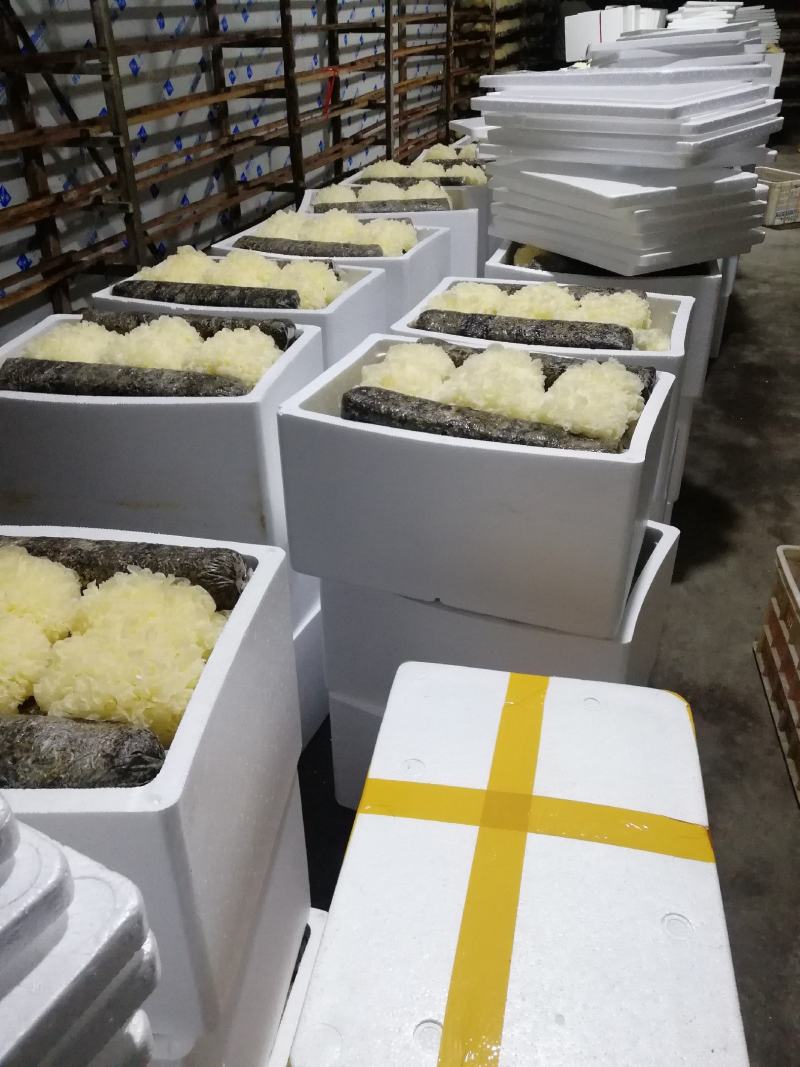 原产地厂家鲜银耳新鲜银耳银耳支持商超社区团购