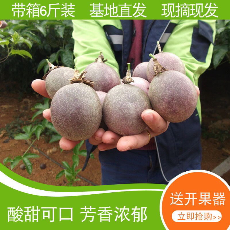 广西百香果当季新鲜水果百香果西番莲鸡蛋果一件代发