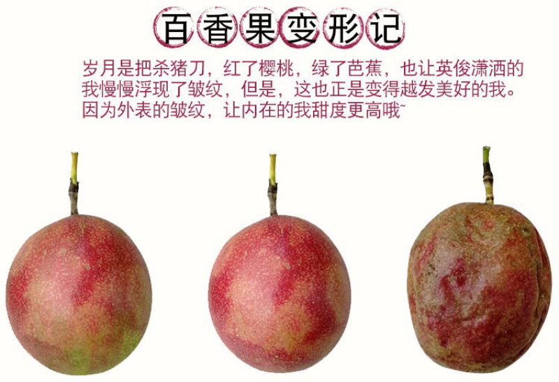 广西百香果当季新鲜水果百香果西番莲鸡蛋果一件代发
