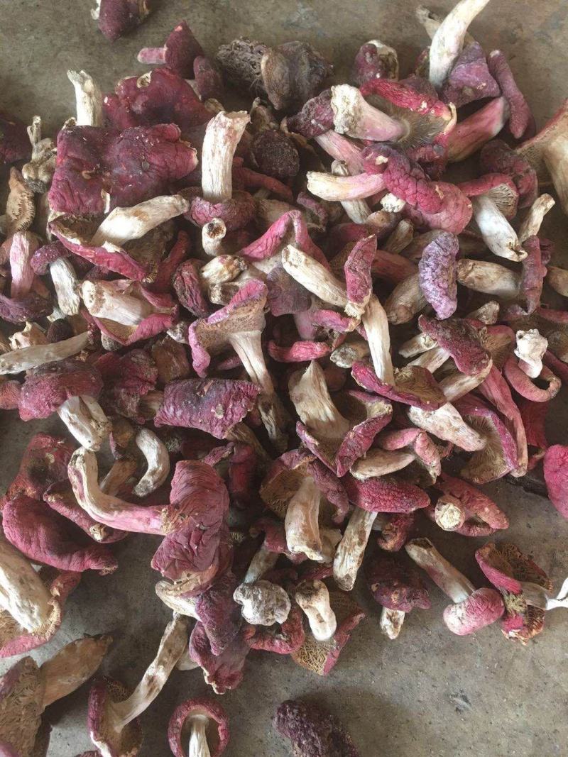 云南野生红菇、炖鸡煲汤佳品