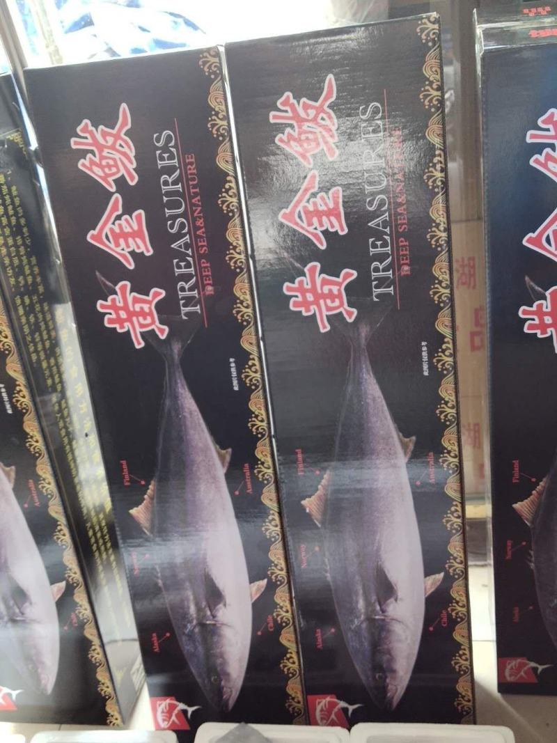 黄金鲅，10到20斤之间，一手货源，不包邮