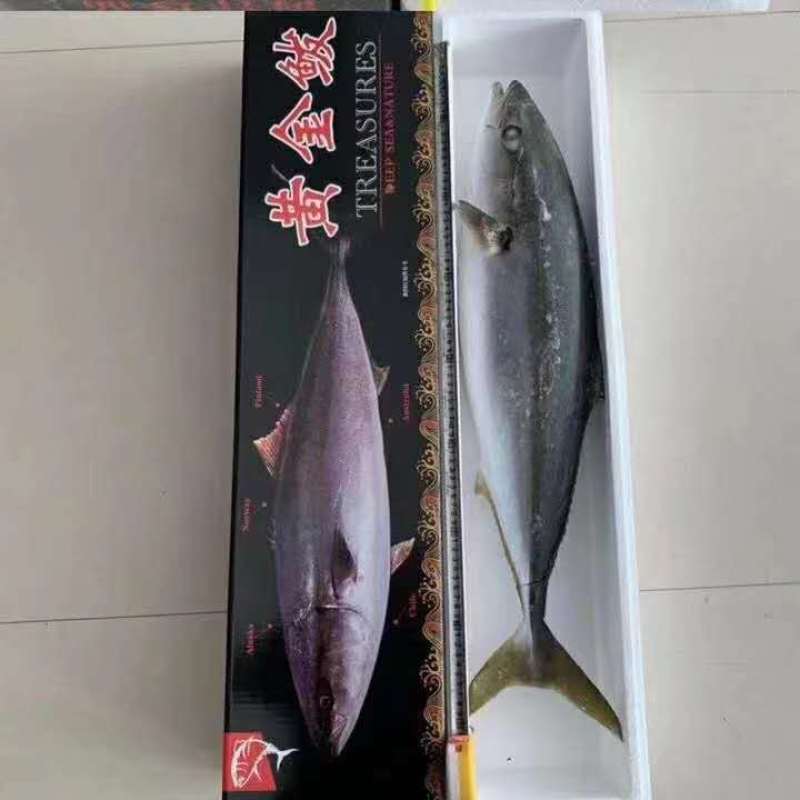 黄金鲅，10到20斤之间，一手货源，不包邮