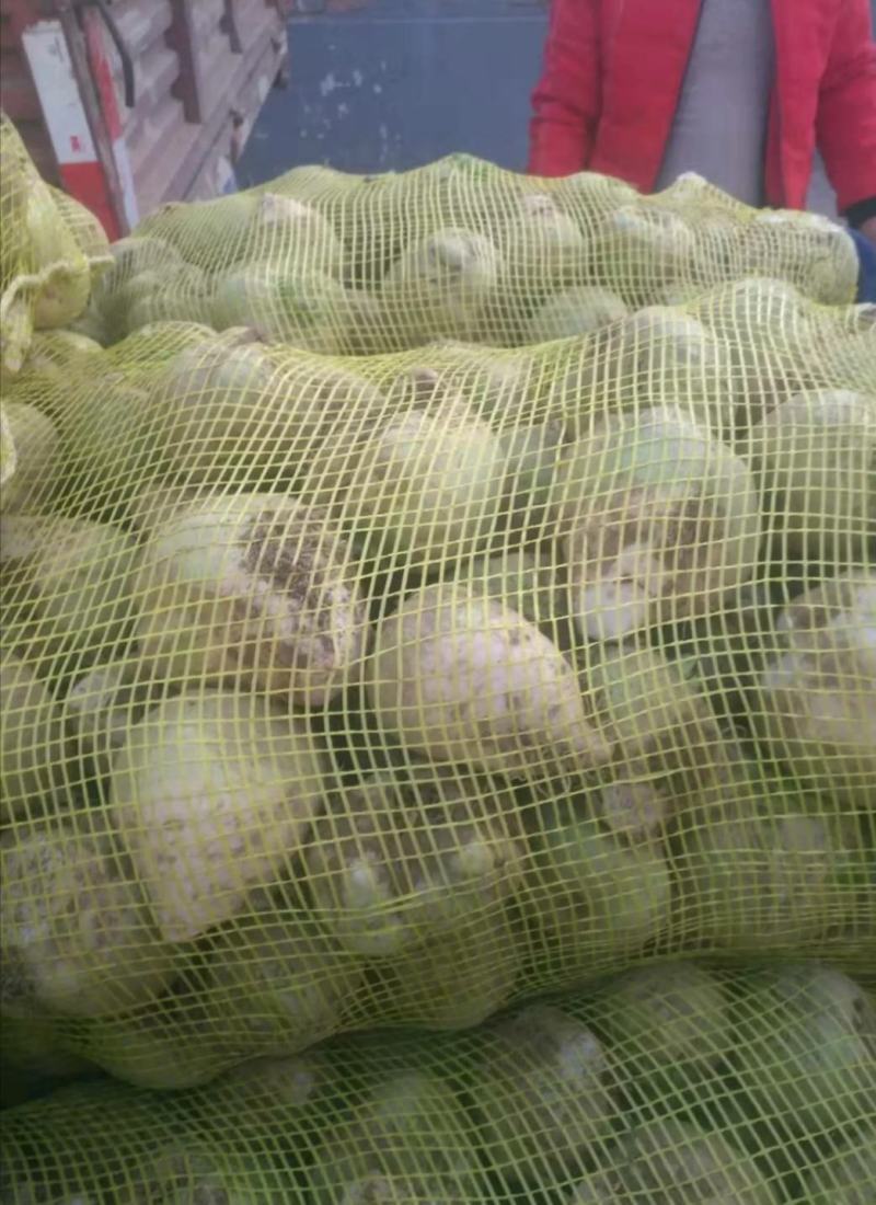 产地直销精品介菜头，质量优益价格便宜，欢迎各地新老朋友联