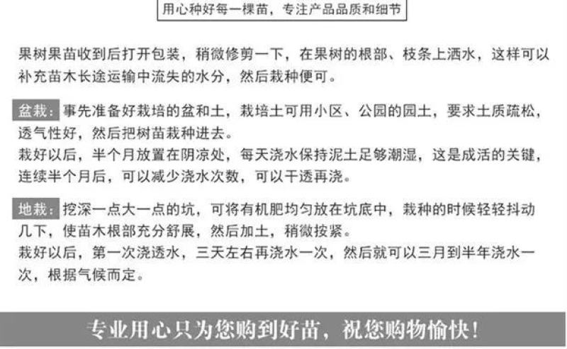 嫁接山楂苗甜红子大金星大五菱南北方种植盆栽地栽当年结果