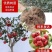 嫁接山楂苗甜红子大金星大五菱南北方种植盆栽地栽当年结果