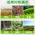 侨昌统焚88%高含量草铵膦杂不伤地无残留农药除草剂