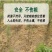 侨昌统焚88%高含量草铵膦杂不伤地无残留农药除草剂