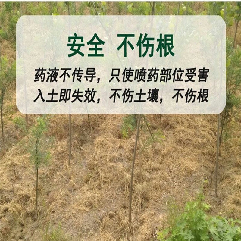 侨昌统焚88%高含量草铵膦杂不伤地无残留农药除草剂