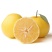 鸡尾葡萄柚台湾超甜葡萄柚苗基地直供成活率高