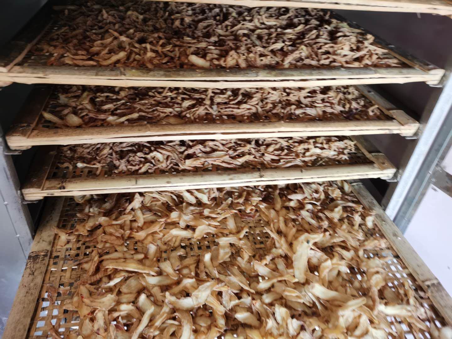 一台热风循环烘干机内部视图,显示多层托盘结构,青翘均匀铺放在不锈钢网盘上,热风从底部向上循环流动。控制面板显示当前温度48.5℃、湿度46%,设备侧面标注‘中药材专用干燥机组’字样 青翘热风烘干设备内部结构示意图