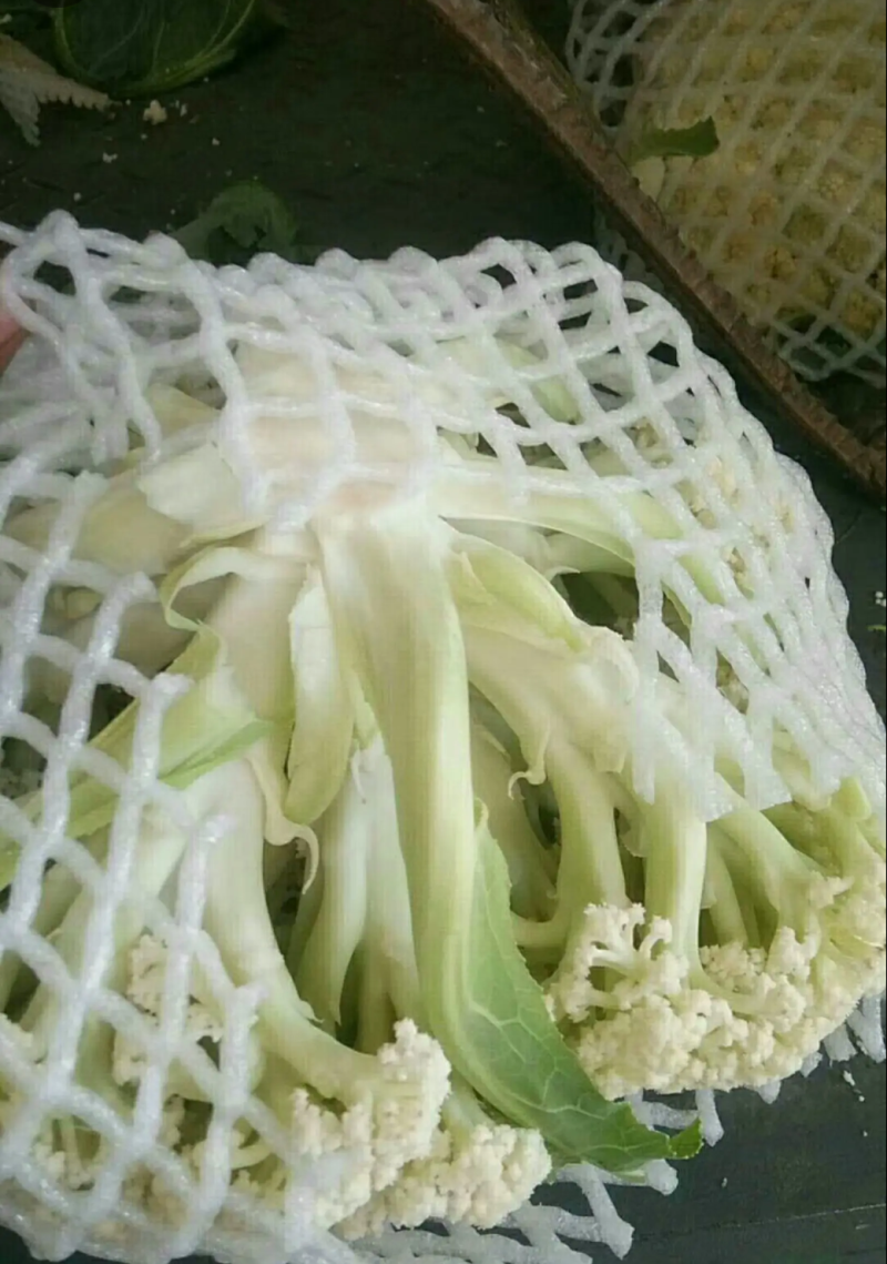 河南菜花松花菜白面青梗散花1.5-2.5斤产地直供