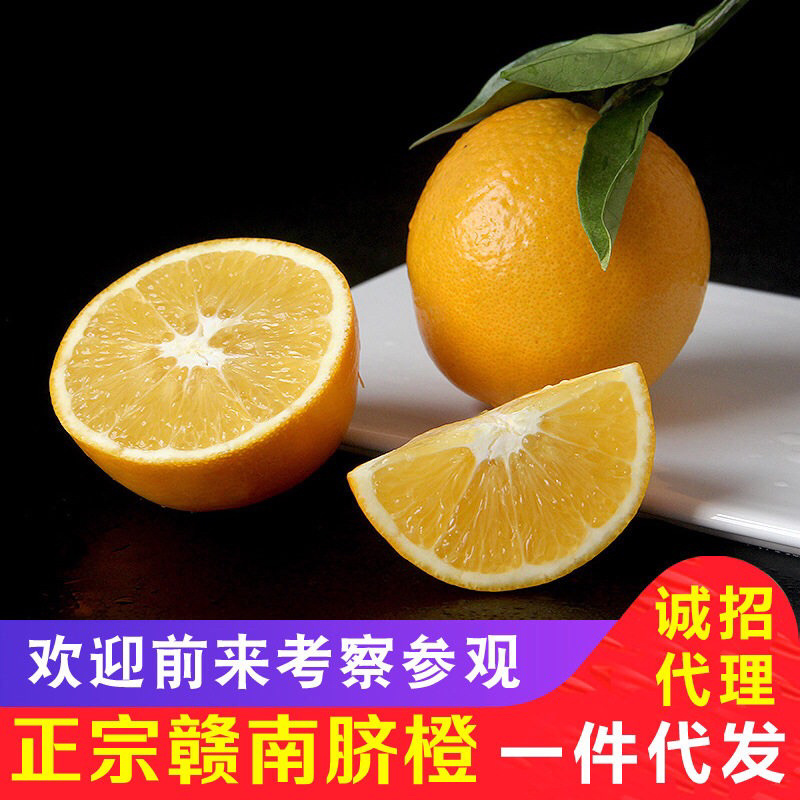 【预售11月15日】赣南脐橙整箱包邮新鲜不催熟原产地发货