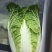 云南高山大白菜，均颗两公斤左右。一次交易，终身朋友。