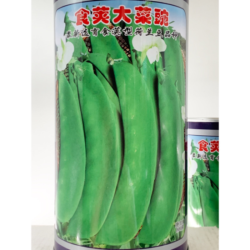 台湾长寿仁豌豆种子原装包邮发货高抗白粉病支持线上交易