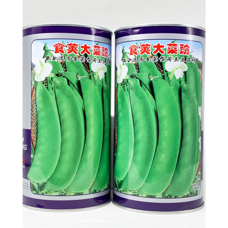 台湾长寿仁豌豆种子原装包邮发货高抗白粉病支持线上交易